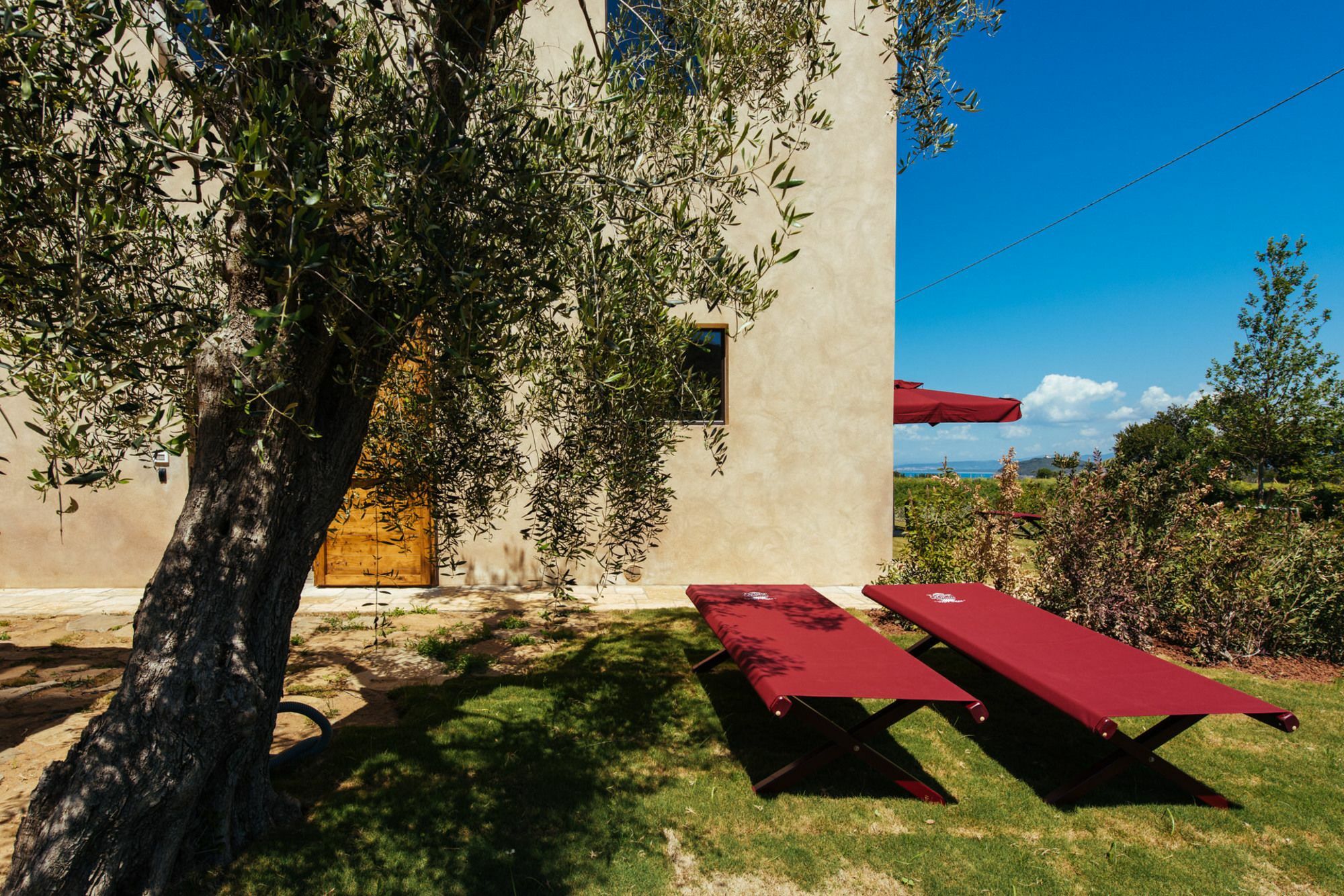 Torre Di Baratti Bio Resort ポプローニア エクステリア 写真