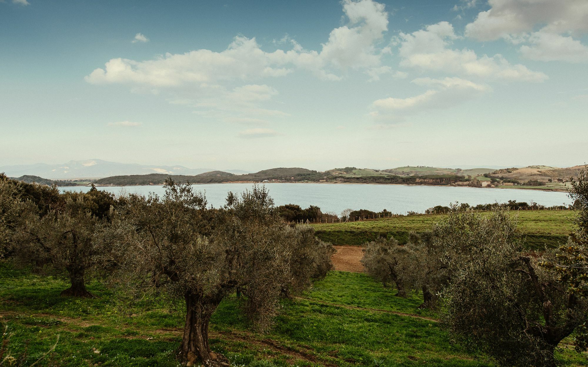 Torre Di Baratti Bio Resort ポプローニア エクステリア 写真